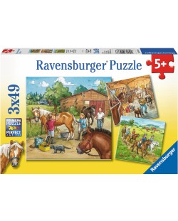 Παζλ Ravensburger 3 x 49 κομμάτια  - Μία μέρα με τα άλογα