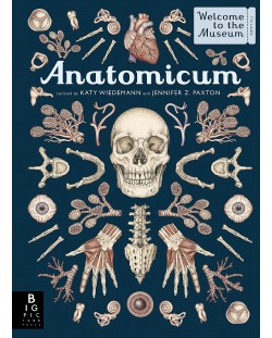 Anatomicum