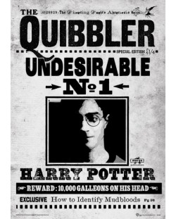 Εκτύπωση τέχνης Pyramid Movies: Harry Potter - The Quibbler