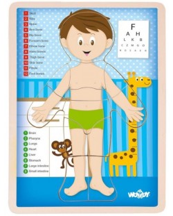 Ξύλινο παζλ Woody - Το ανθρώπινο σώμα - Αγόρι, 13 τεμάχια