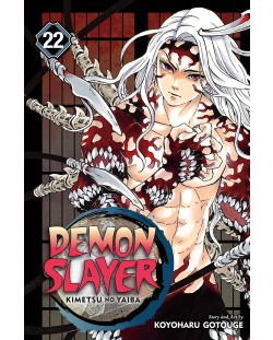 Demon Slayer: Kimetsu no Yaiba, Vol. 22