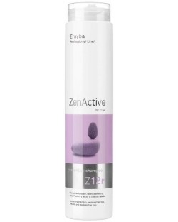 Erayba Zen Active Αναζωογονητικό σαμπουάν κατά της τριχόπτωσης Z12r, 250 ml