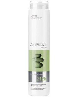 Erayba Zen Active Σαμπουάν καθαρισμού για λιπαρά μαλλιά  Z12b, 250 ml