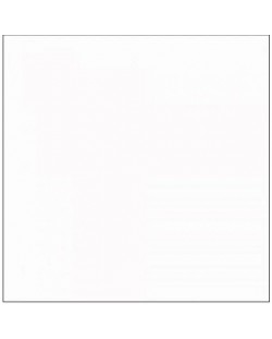 Χάρτινο φόντο Visico - Arctic White, 2.7x11m, λευκό