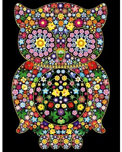 Εικόνα χρωματισμού ColorVelvet - Κουκουβάγια, 70 х 50 cm