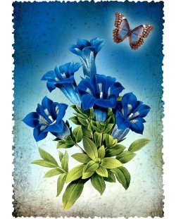 Κάρτα Gespaensterwald Romantique - Λουλούδι