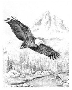 Σετ ζωγραφικής με μολύβια Royal - Αετός σε πτήση, 23 х 30 cm