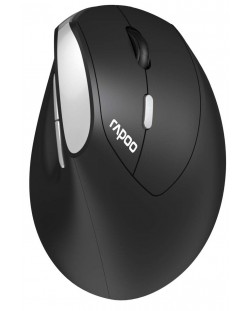 Ποντίκι Rapoo - EV250, οπτικό, ασύρματο, μαύρο/ασημί