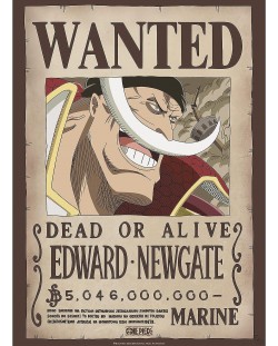  Μίνι αφίσα GB eye Animation: One Piece - Whitebeard Wanted Poster