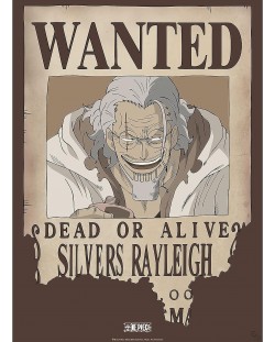 Μίνι αφίσα GB eye Animation: One Piece - Rayleigh Wanted Poster