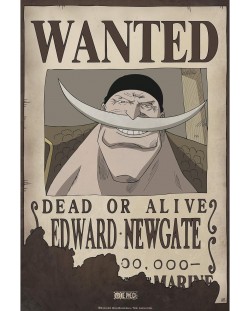 Μίνι αφίσα  GB eye Animation: One Piece - Wanted Whitebeard