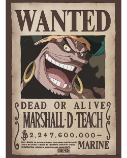 Μίνι αφίσα  GB eye Animation: One Piece - Blackbeard Wanted Poster