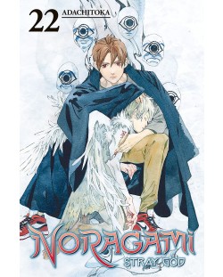 Noragami Stray God, Vol. 22: Falling