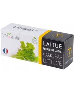 Σπόρια   Veritable - Lingot,Σαλάτα φύλλα βελανιδιάς, μη ΓΤΟ