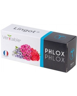 Σπόρια  Veritable - Lingot,Βρώσιμο Phlox, μη ΓΤΟ