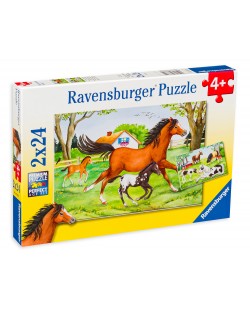 Παζλ Ravensburger 2 x 24 κομμάτια - Άλογα