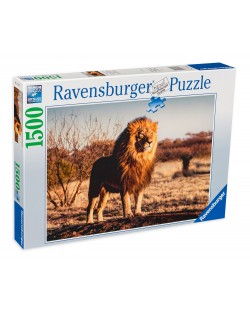 Παζλ Ravensburger 1500 τεμαχίων-Το λιοντάρι - ο βασιλιάς των ζώων