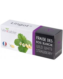 Σπόρια  Veritable - Lingot, Άσπρες άγριες φράουλες, μη ΓΤΟ