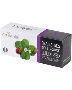 Σπόρια   Veritable - Lingot,Κόκκινες άγριες φράουλες, μη ΓΤΟ