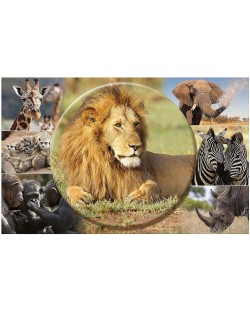 Χαλάκι γραφείου Herma - Αφρικανικά ζώα