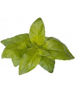Σπόροι Click and Grow - Lime Βασιλικός, 3 ανταλλακτικά