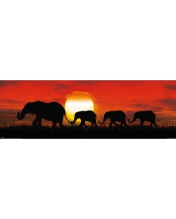 Slim αφίσα Pyramid Art: Photo - Sunset Elephants
