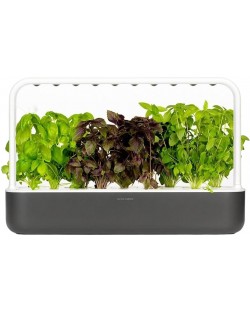 Έξυπνη γλάστρα Click and Grow - Smart Garden 9, 13 W, γκρι