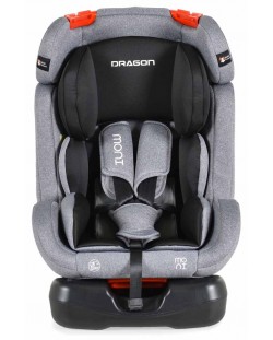 Παιδικό κάθισμα αυτοκινήτου Moni - Dragon, 0-36 kg, Grey