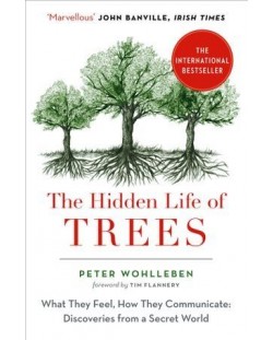 The Hidden Life of Trees