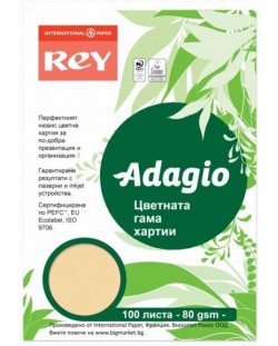 Έγχρωμο φωτοτυπικό χαρτί Rey Adagio - Salmon, A4, 80 g,100 φύλλα
