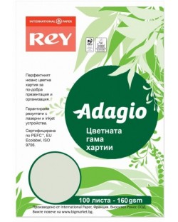 Έγχρωμο φωτοτυπικό  χαρτόνι Rey Adagio - Green, A4, 160 g, 100 φύλλα