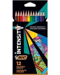 Χρωματιστά μολύβια BIC - Ένταση, 12 χρωμάτων