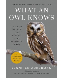 What an Owl Knows