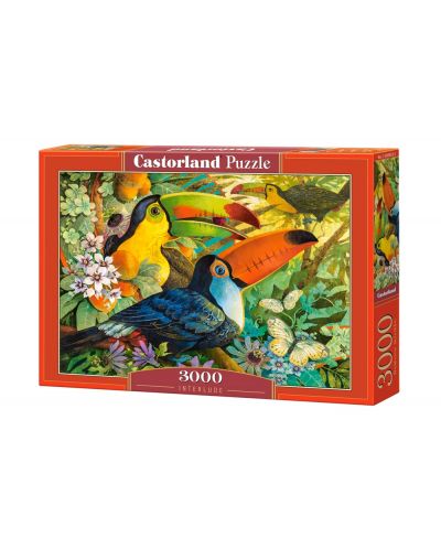 Παζλ Castorland 3000 κομμάτια - Interlude - 1