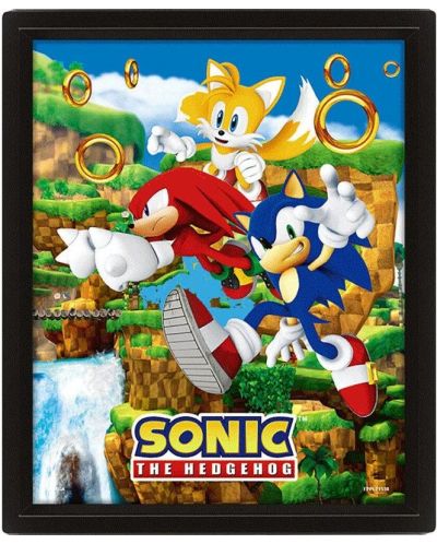 3D αφίσα με κορνίζα Pyramid Games: Sonic - Sonic (Catching Rings) - 1