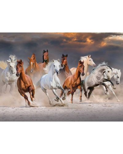 Παζλ Jumbo 1000 κομμάτια - Άλογα στην έρημο - 2