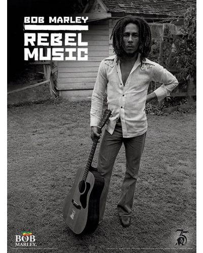 Εκτύπωση τέχνης Pyramid Music: Bob Marley - Rebel Music - 1