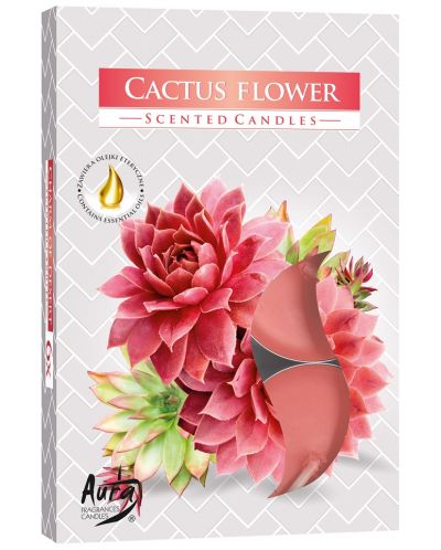 Αρωματικά κεριά τσαγιού Bispol Aura - Cactus Flower, 6 τεμάχια - 1