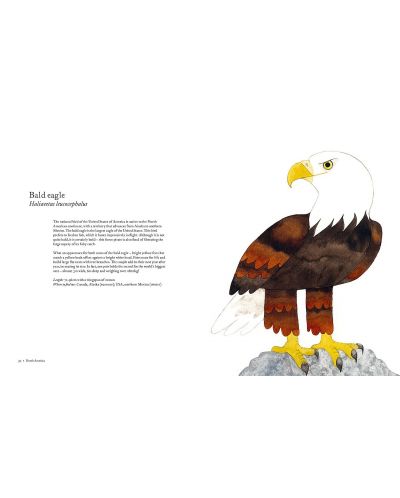 Atlas of Amazing Birds - 6