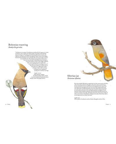 Atlas of Amazing Birds - 5