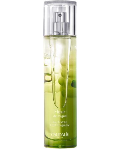 Caudalie Αρωματικό νερό Fleur De Vigne, 50 ml - 1