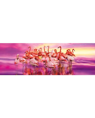 Πανοραμικό  Παζλ Clementoni 1000 κομμάτια - Ο χορός των ροζ φλαμίνγκο  - 2