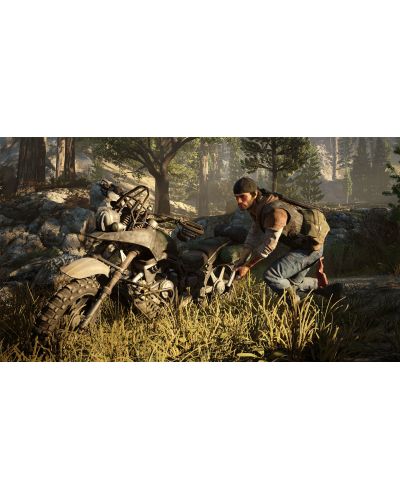Days Gone (PS4) - 8