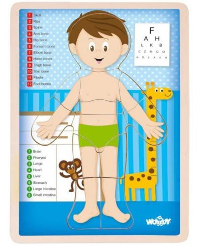 Ξύλινο παζλ Woody - Το ανθρώπινο σώμα - Αγόρι, 13 τεμάχια - 1