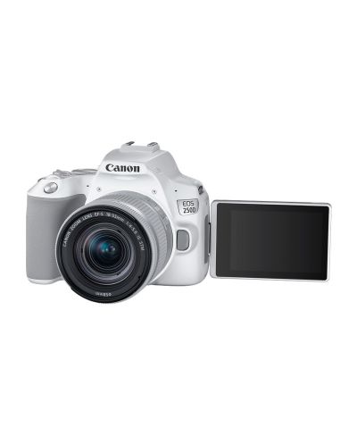 Φωτογραφική μηχανή DSLR  Canon - EOS 250D, EF-S 18-55mm ST,λευκό - 2
