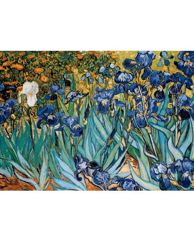 Παζλ Eurographics 1000 κομμάτια –Irissy, Vincent van Gogh - 2