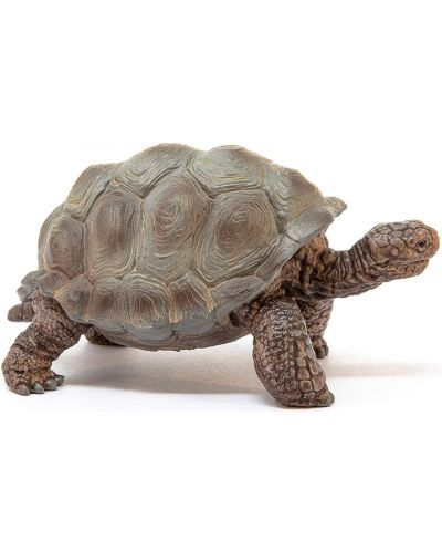 Φιγούρα Schleich Wild Life - Γιγαντιαία χελώνα - 4