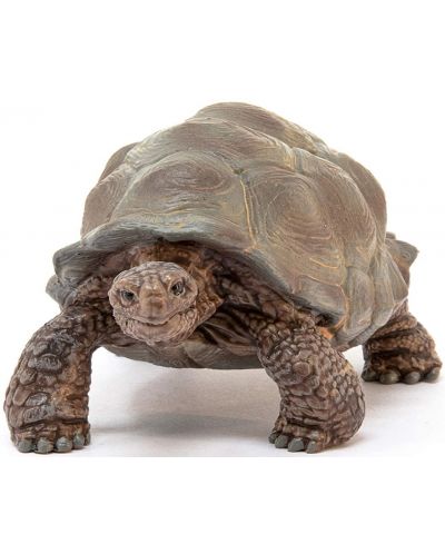 Φιγούρα Schleich Wild Life - Γιγαντιαία χελώνα - 2