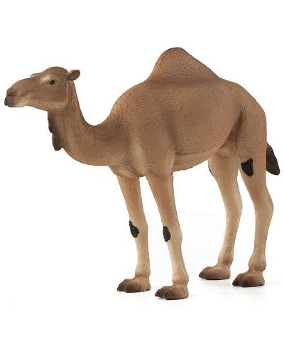 Φιγούρα Mojo Wildlife - Καμήλα - 1