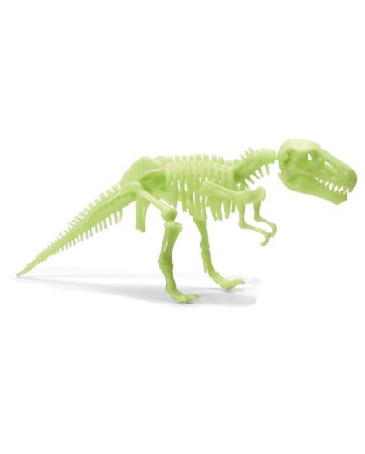 Φωσφορίζοντα αυτοκόλλητα Brainstorm Glow Dinos - Τυραννόσαυρος Ρεξ, σκελετός - 2